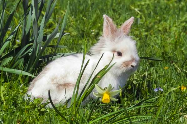 Bild aus der Galerie