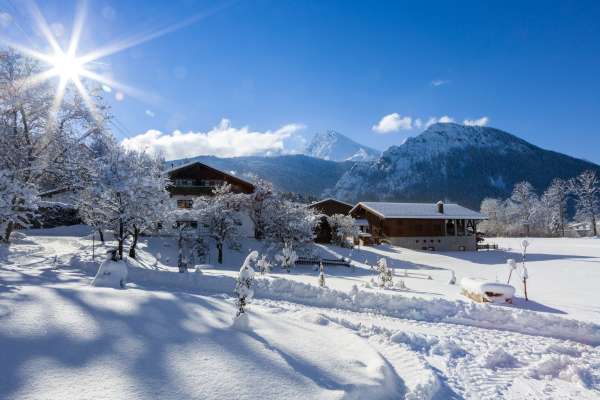 Bild aus der Galerie