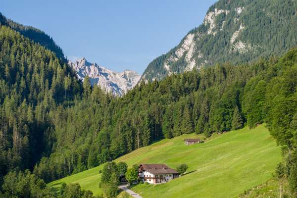 Bild aus der Galerie