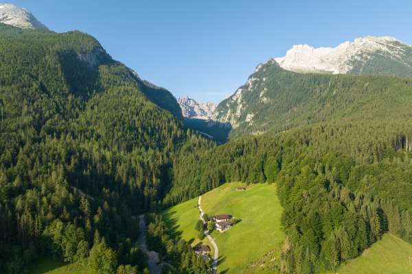 Bild aus der Galerie