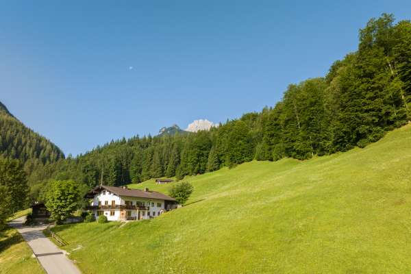 Bild aus der Galerie