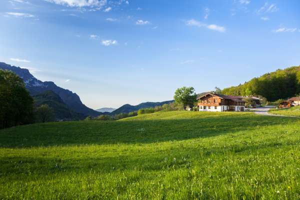 Bild aus der Galerie