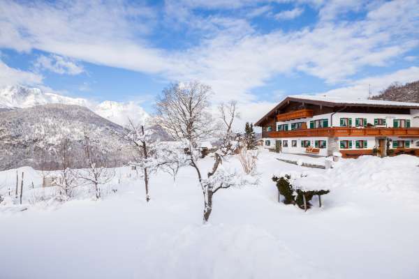 Bild aus der Galerie