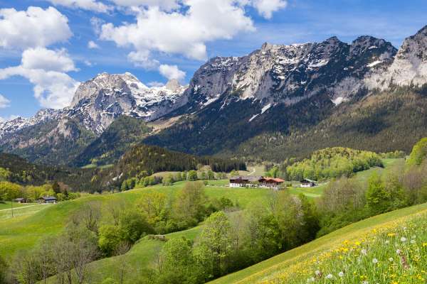 Bild aus der Galerie