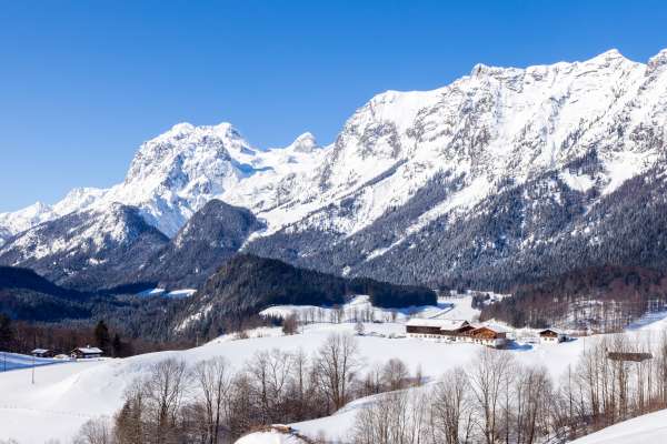 Bild aus der Galerie