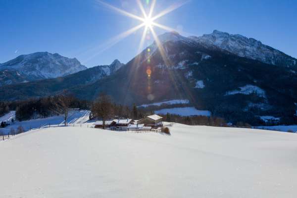 Bild aus der Galerie