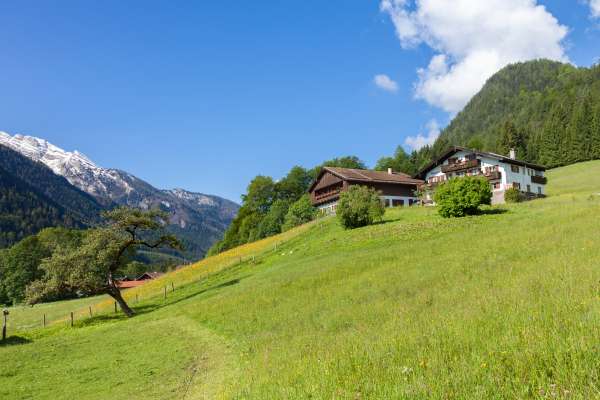 Bild aus der Galerie