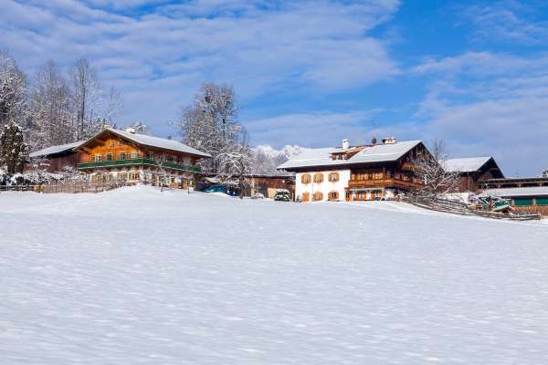 Bild aus der Galerie