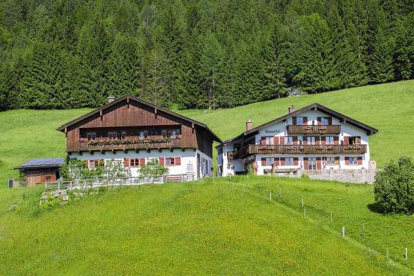 Bild aus der Galerie