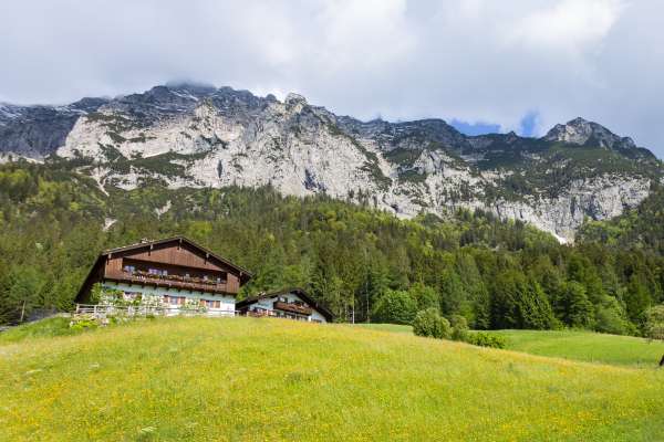 Bild aus der Galerie