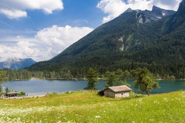 Bild aus der Galerie