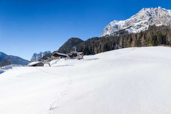 Bild aus der Galerie