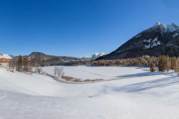 Bild aus der Galerie