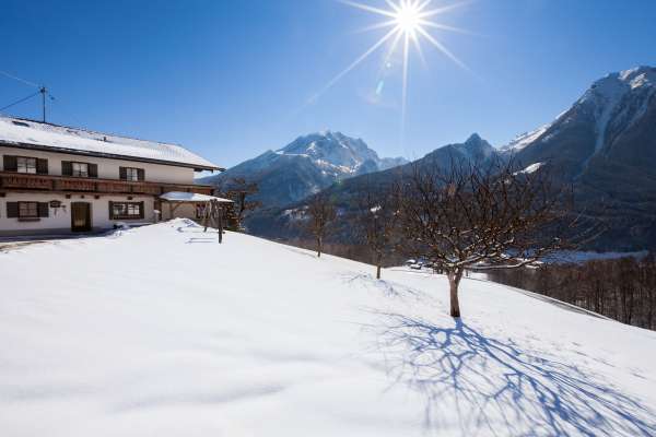 Bild aus der Galerie