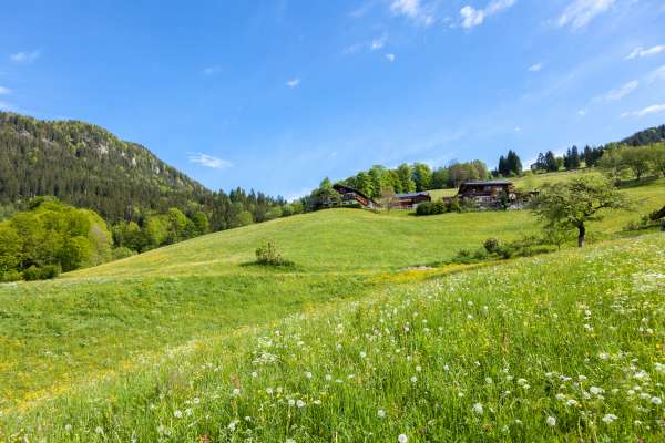 Bild aus der Galerie