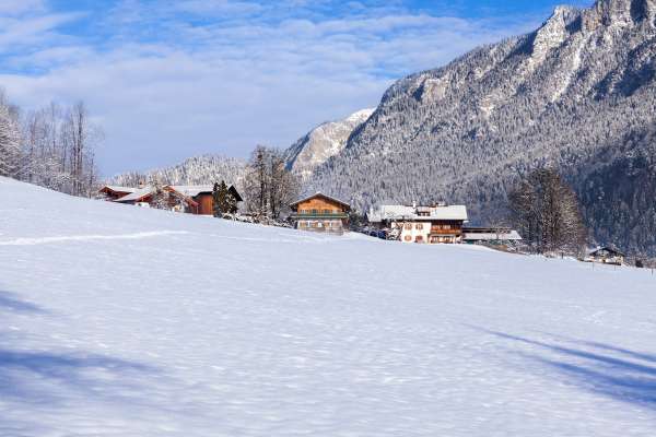 Bild aus der Galerie