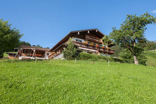 Bild aus der Galerie