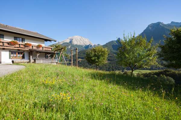 Bild aus der Galerie