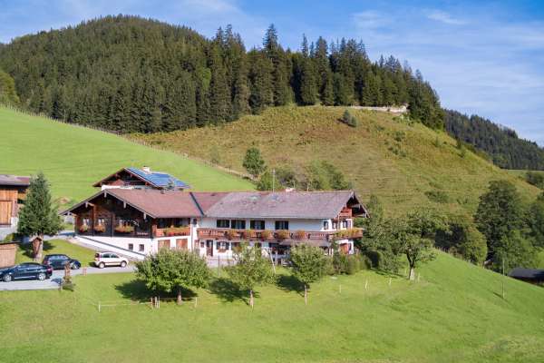 Bild aus der Galerie