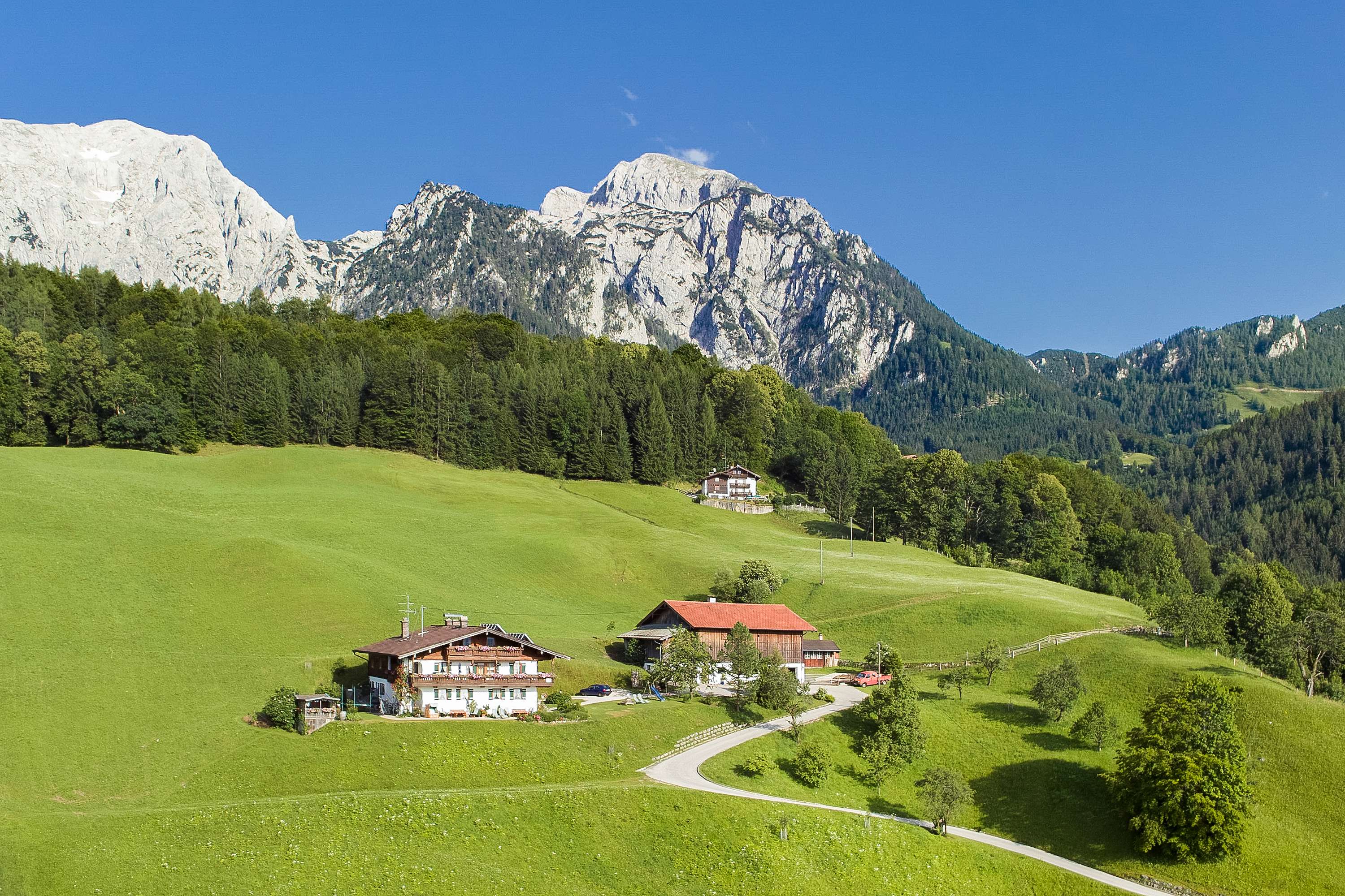 Kranvogllehen