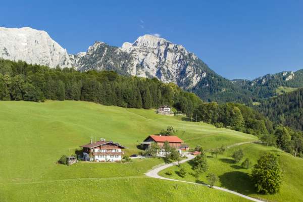 Bild aus der Galerie