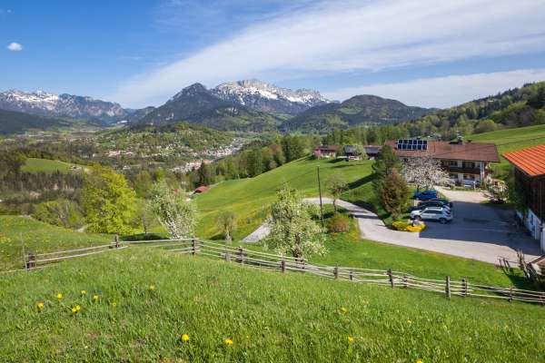 Bild aus der Galerie