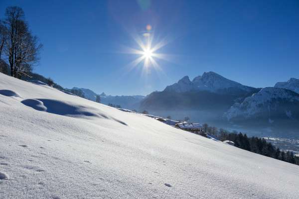 Bild aus der Galerie