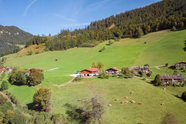 Bild aus der Galerie