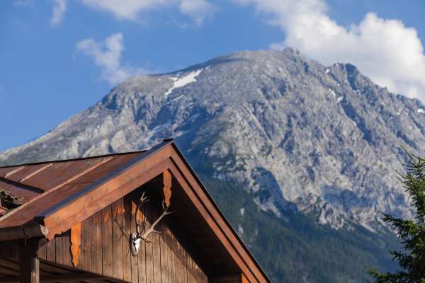 Bild aus der Galerie