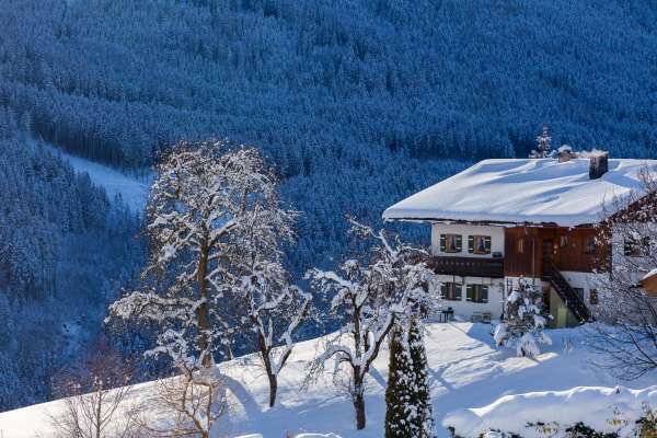 Bild aus der Galerie