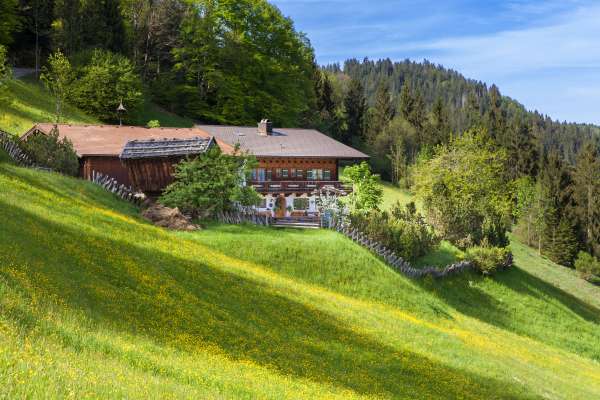 Bild aus der Galerie