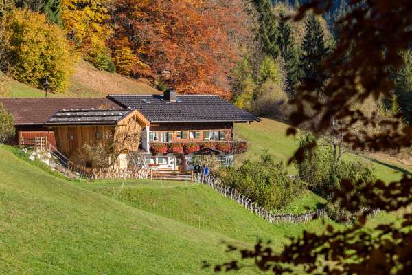 Bild aus der Galerie