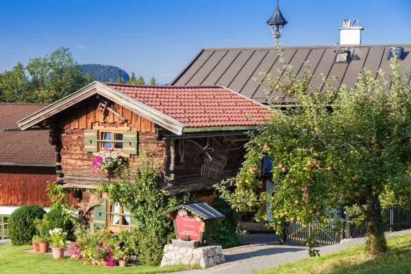 Bild aus der Galerie