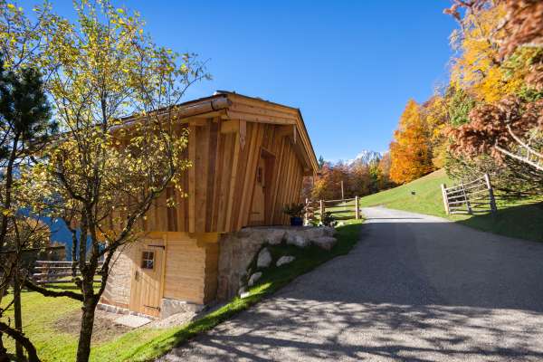 Bild aus der Galerie