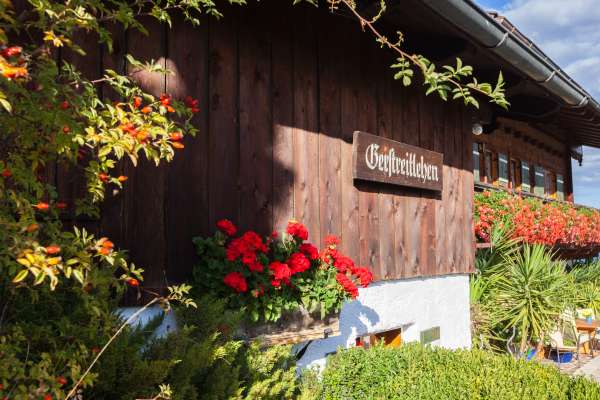 Bild aus der Galerie