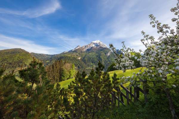 Bild aus der Galerie