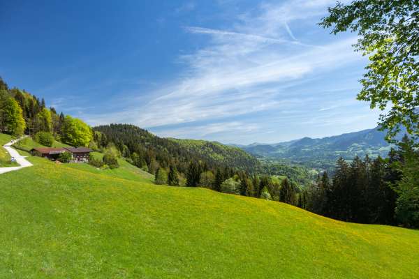 Bild aus der Galerie