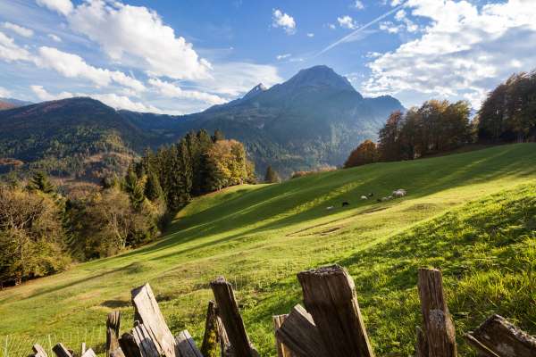 Bild aus der Galerie