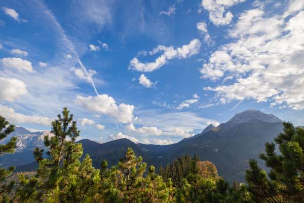 Bild aus der Galerie