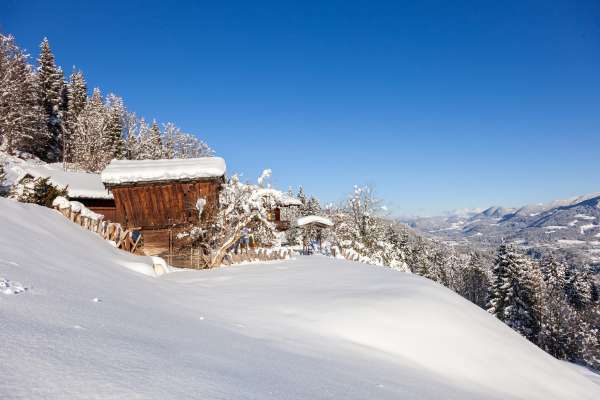 Bild aus der Galerie