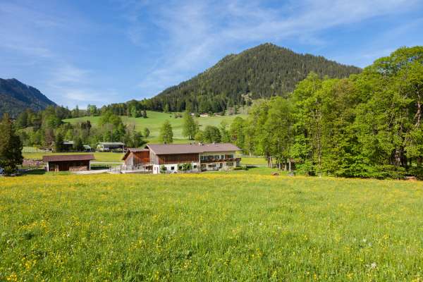 Bild aus der Galerie