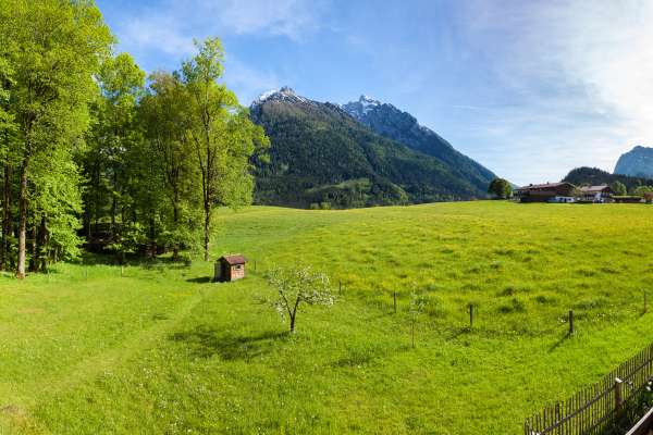 Bild aus der Galerie