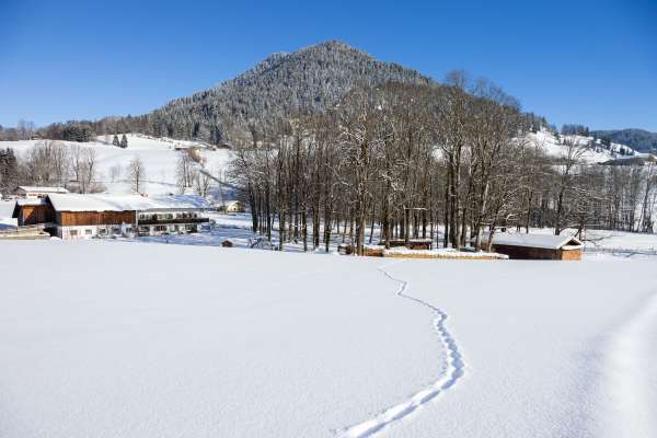 Bild aus der Galerie