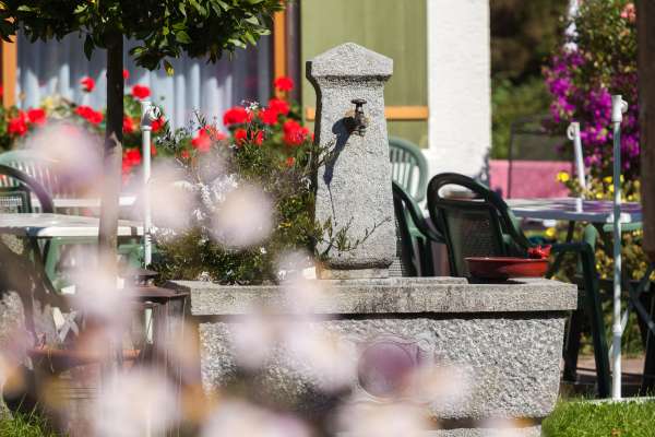 Bild aus der Galerie