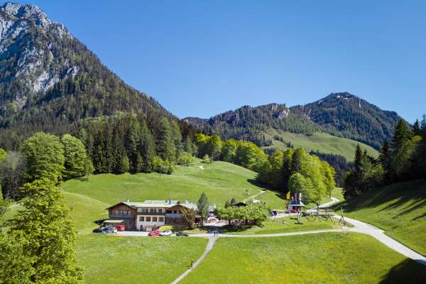 Bild aus der Galerie