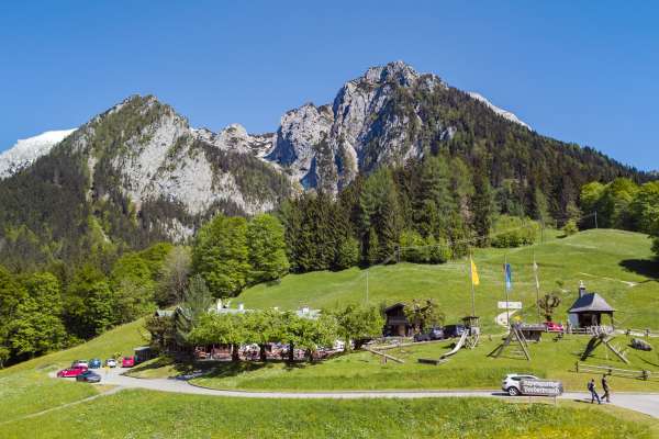 Bild aus der Galerie