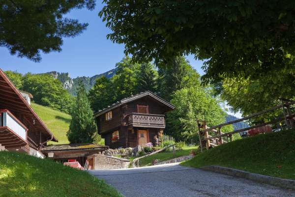 Bild aus der Galerie