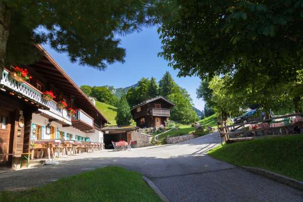 Bild aus der Galerie