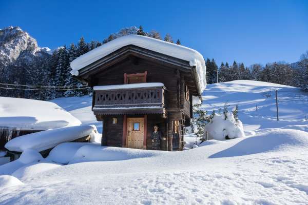 Bild aus der Galerie