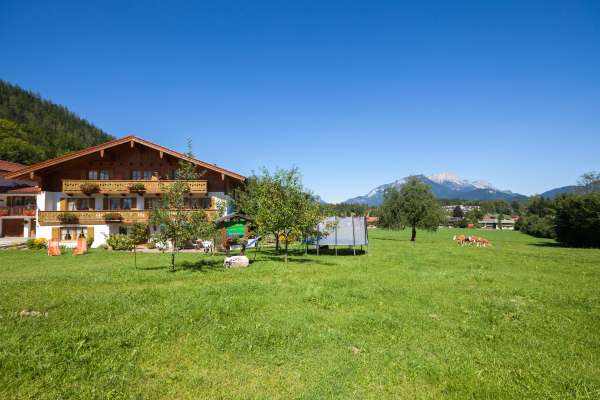 Bild aus der Galerie